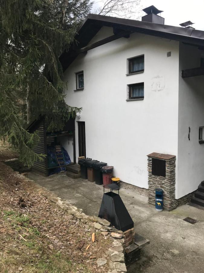 Horska Chata Na Brcalniku V Srdci Sumavy Železná Ruda Exterior foto